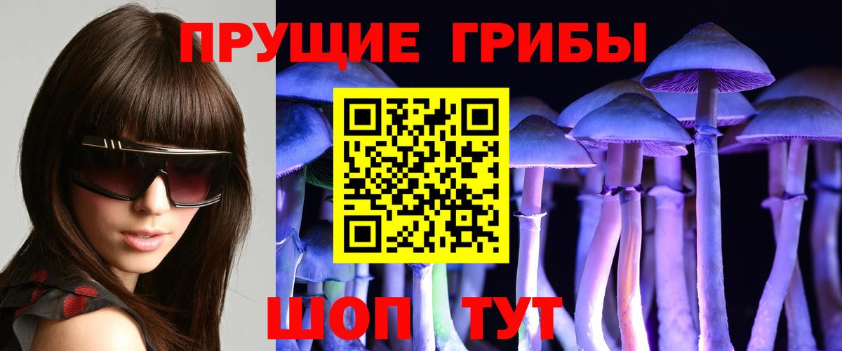 Торжок  купить наркотик  Вход с VPN  Псилоцибиновые грибы MAGIC MUSHROOMS 