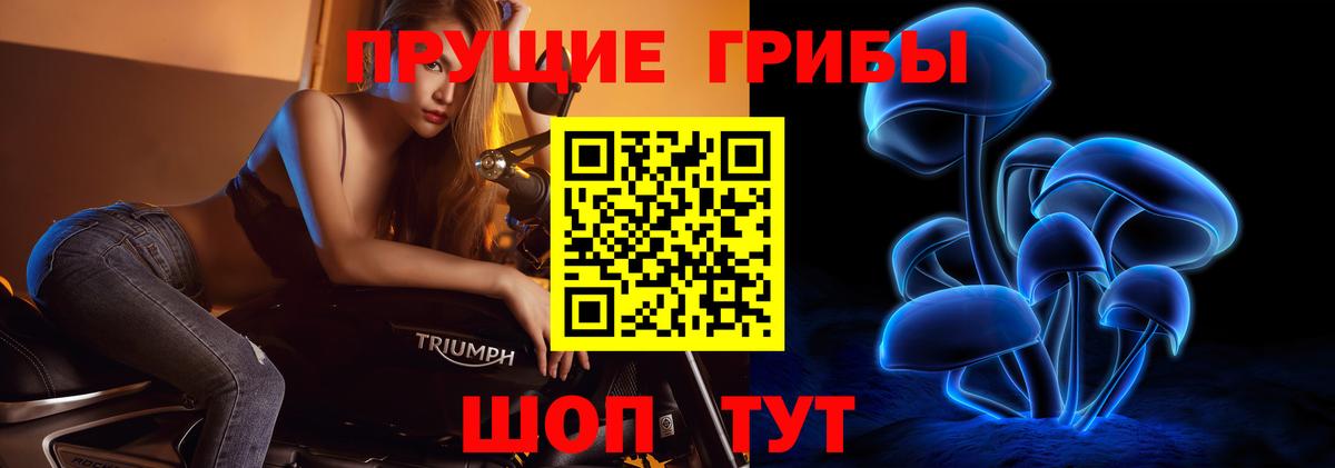 Галлюциногенные грибы мицелий Торжок